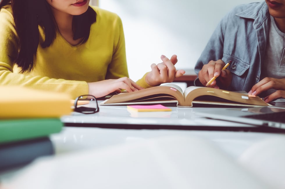 Teacher Studying with a Student 